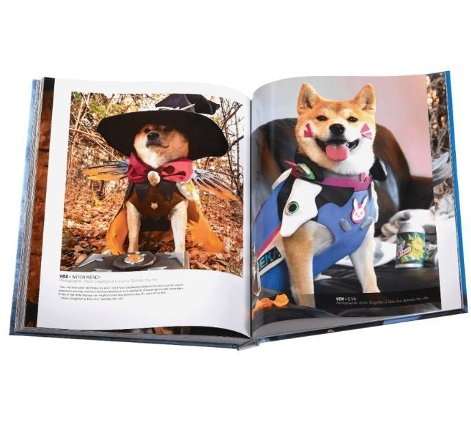 Книга Blizzard Cosplay: Tips, Tricks and Hints Hardcover (Твёрдый переплёт) (Eng) 