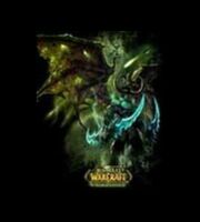 Футболка World of Warcraft Illidan Black Temple T-Shirt (мужск., размер XL)