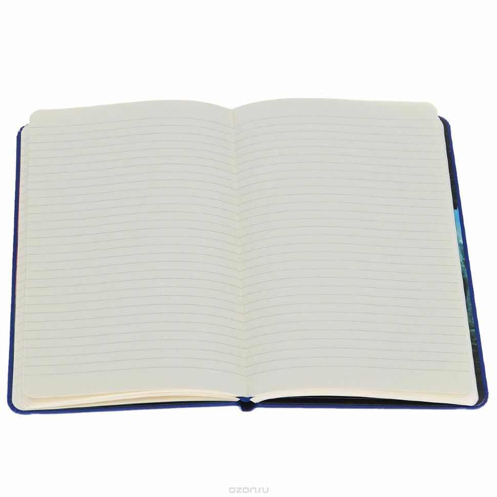 Блокнот Blizzard Journal (Hardcover) 