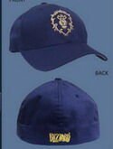 Кепка World of Warcraft Alliance 3D Flexfit Hat (размер L/XL) 